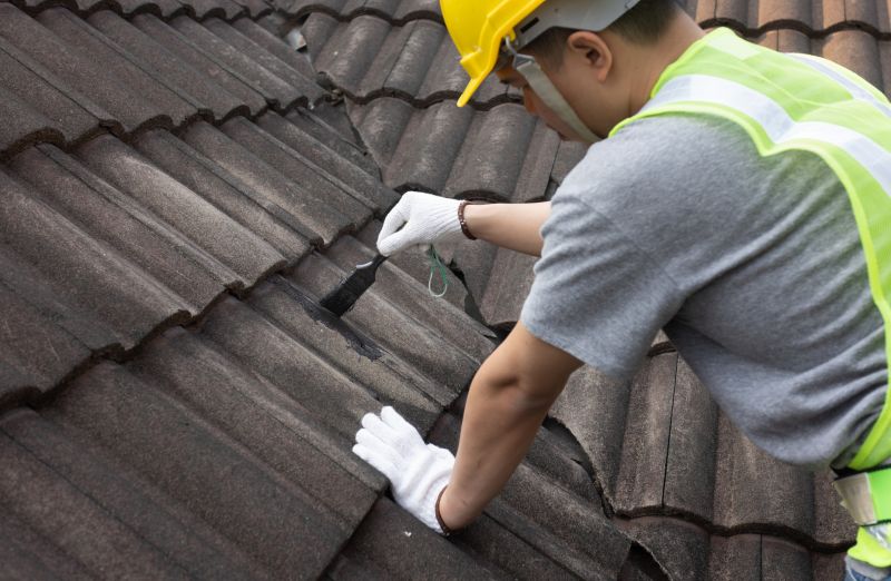 Roof Leak Detection Service